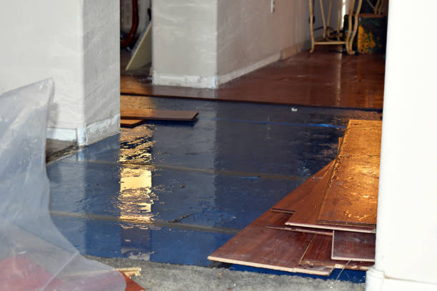 Professional Water Extraction technician working in Flat Rock, OH